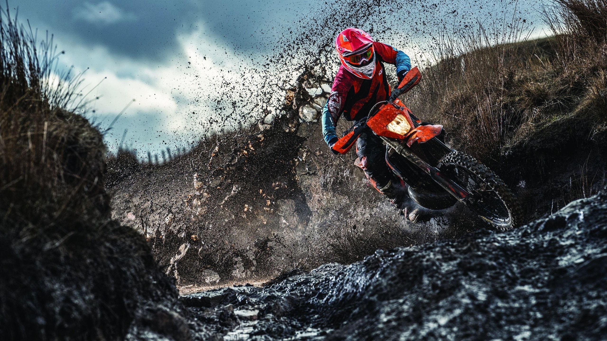 开云平台-当麦迪逊的嘘声淹没湖人，灰熊的枪已上膛瞄准世界